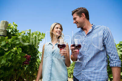 Low angle view of couple holding winnglasses at vineyard