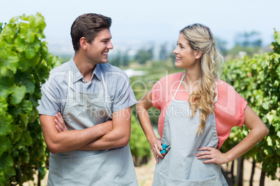 Happy couple looking at each other while standing in vineyard