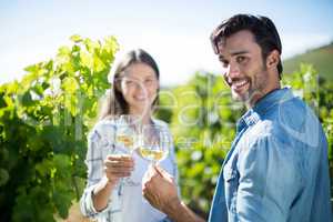 Portrait of cheerful couple toasting wineglasses