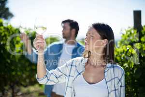 Young couple with wineglasses at vineyard