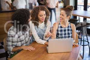 Cheerful friends using laptop while sitting in restaurant