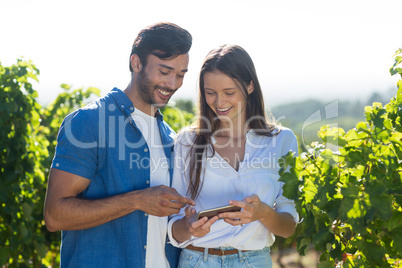 Happy young couple using mobile phone at vineyard