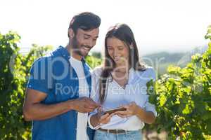 Happy young couple using mobile phone at vineyard