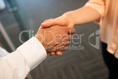 Colleagues shaking hands in office