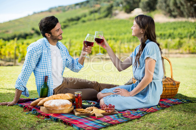 Happy couple toasting wineglasses