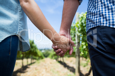 Mid section of couple holding hands at vineyard