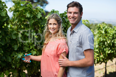 Portrait of happy couple using pruning shears at vineyard