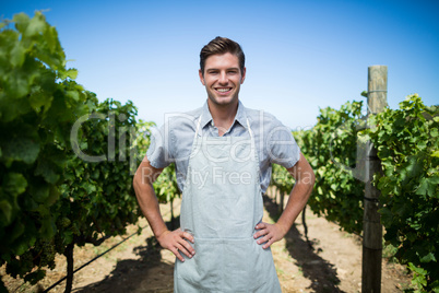 Portrait of farmer at vineyard