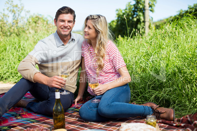 Smiling young couple holding wineglasses on picnic blanket