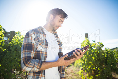 Man holding wine bottle at vineyard
