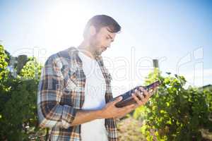 Man holding wine bottle at vineyard