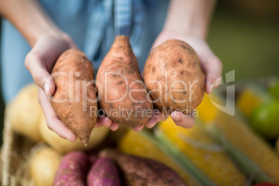 Cropped image of woman holding sweet potatoes