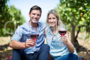 Happy couple holding wineglasses at vineyard
