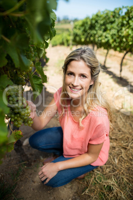 Portrait of woman holding grapes while crouching at vineyard