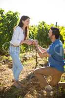 Happy young man proposing his girlfriend at vineyard