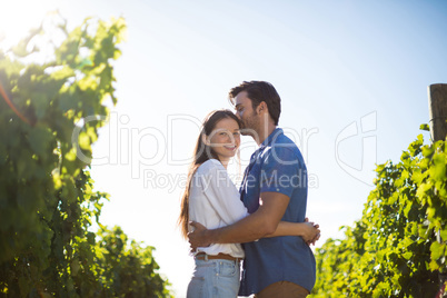 Smiling woman hugging boyfriend amidst plants at vineyard