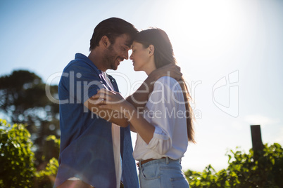 Young couple face to face standing at vineyard against sky during sunny day