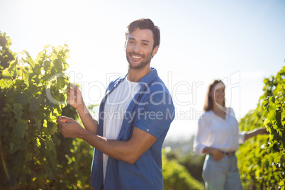 Happy couple standing by plants growing at vineyard