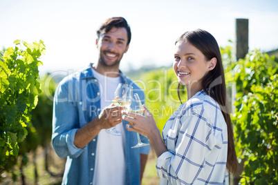 Portrait of couple toasting wineglasses