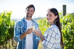 Portrait of couple toasting wineglasses