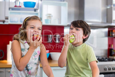 Siblings eating apple in kitchen