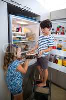 Siblings removing cake from refrigerator in kitchen