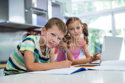 Portrait of siblings doing their homework in kitchen
