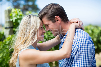 Side view of smiling young couple embracing at vineyard