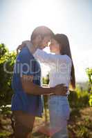Young couple standing face to face at vineyard against sky