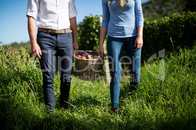 Mid section of couple carrying fruits in wicker basket at farm