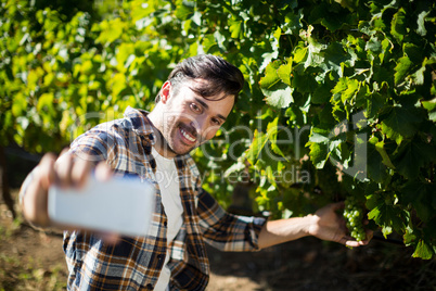 Happy man taking selfie with grapes growing on plants