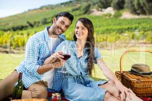 Portrait of cheerful couple holding wineglasses