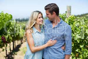 Happy couple looking at each other while embracing at vineyard