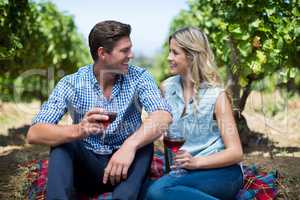 Smiling couple holding wineglasses at vineyard