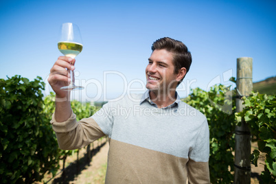 Happy young man holding wineglass at vineyard