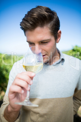 Young man smelling wine in glass at vineyard