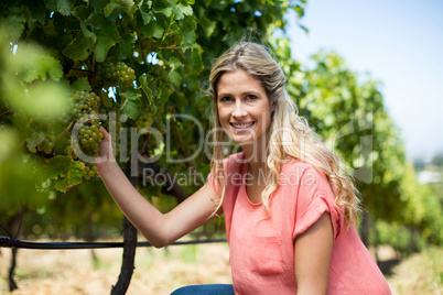 Portrait of smiling woman holding grapes growing at vineyard