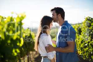 Side view of man kissing girlfriend forehead at vineyard