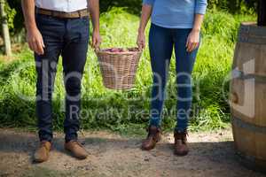 Low section of couple holding fruits in wicker basket at farm