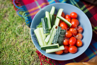 Vegetables in bowl on picnic blanket