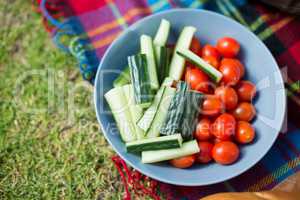 Vegetables in bowl on picnic blanket