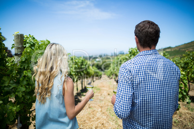 Rear view of couple holding wineglasses