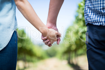 Mid section of couple holding hands in vineyard