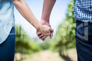 Mid section of couple holding hands in vineyard