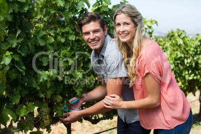 Portrait of smiling young couple using pruning shears
