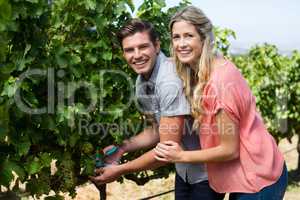 Portrait of smiling young couple using pruning shears