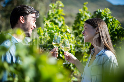 Young couple toasting wineglasses at vineyard on sunny day