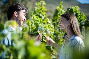 Young couple toasting wineglasses at vineyard on sunny day