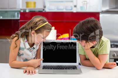 Smiling siblings looking at laptop