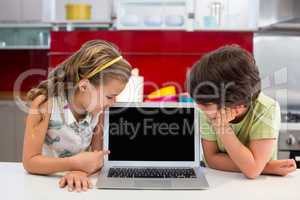 Smiling siblings looking at laptop